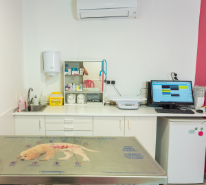 veterinaria CV Alex instalaciones consulta home