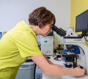 veterinaria CV Alex instalaciones laboratorio home